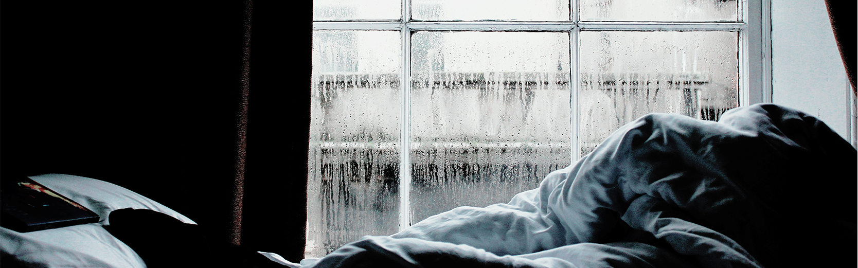 condensation in window